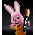 duracell-aaa-aa_1667097794-756f395e5711d94d7c4d05fddadac1f7.jpg