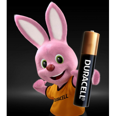 duracell-aaa-aa_1667099455-f2ef4436bfc11b575bffd76524941e43.jpg