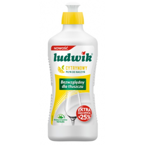 indu-ludwik-ploviklis-1335g_1719300569-b87bb0f3e6ca199848ad22c1e29d0256.jpg