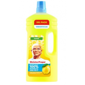 mister-proper-grindims-citrone_1781850007-19f8c5321c4ec8b513e8738862af7646.jpg